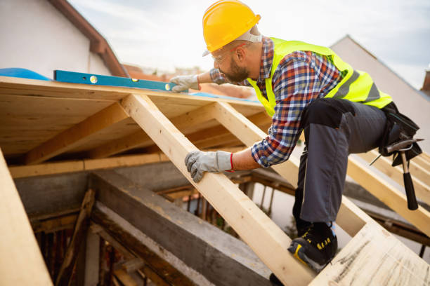 Best Roof Gutter Cleaning  in Killen, AL
